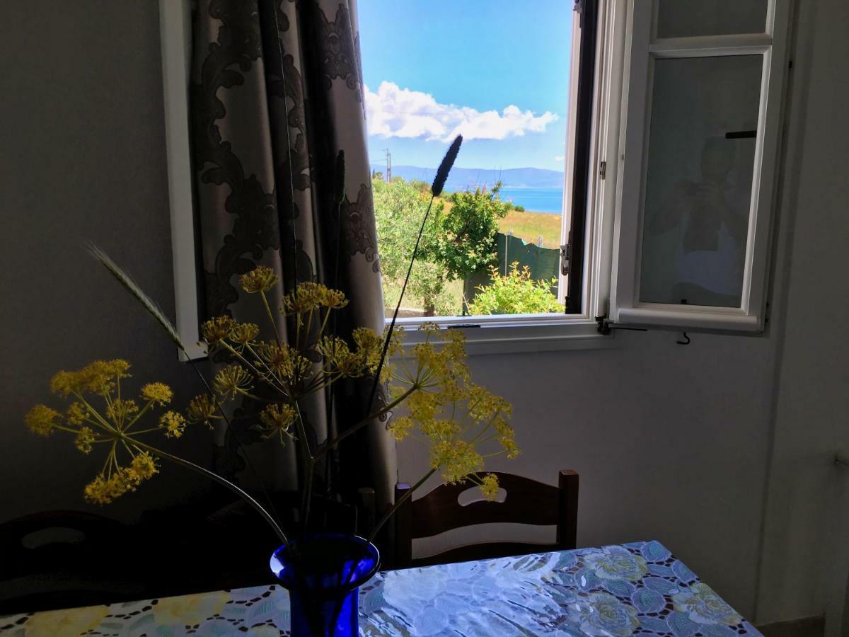 Anthoula'S Sea View Apartment Piso Livadi Exteriér fotografie