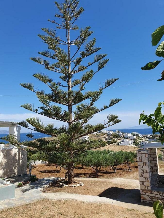 Anthoula'S Sea View Apartment Piso Livadi Exteriér fotografie