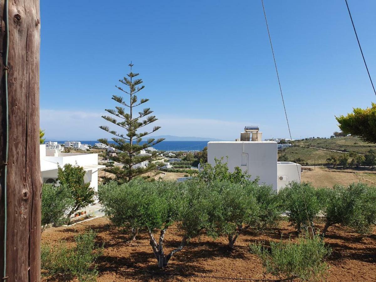 Anthoula'S Sea View Apartment Piso Livadi Exteriér fotografie